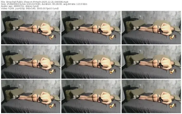 2025/12/21/stripchat-pirtech-04-43-06