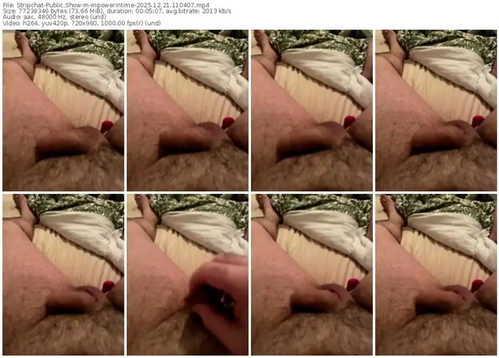 2025/12/21/stripchat-mpowerintime-11-04-07