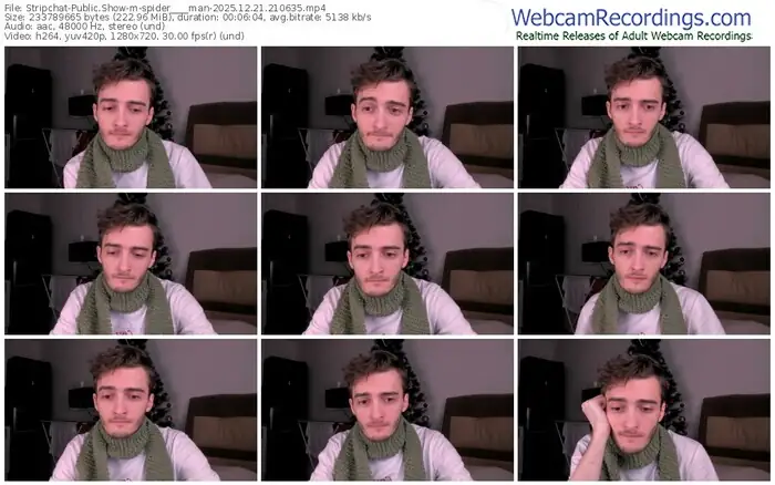 2025/12/21/stripchat-spider____man-21-06-35