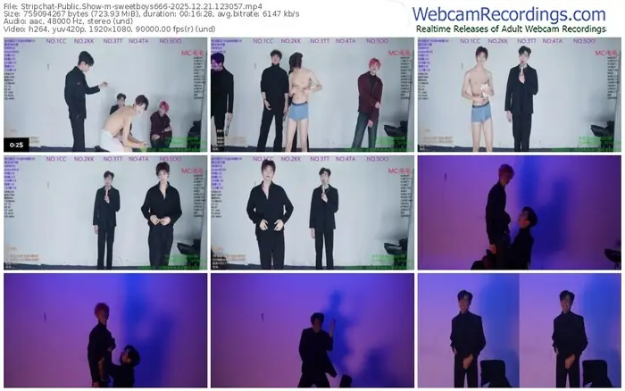 2025/12/21/stripchat-sweetboys666-12-30-57
