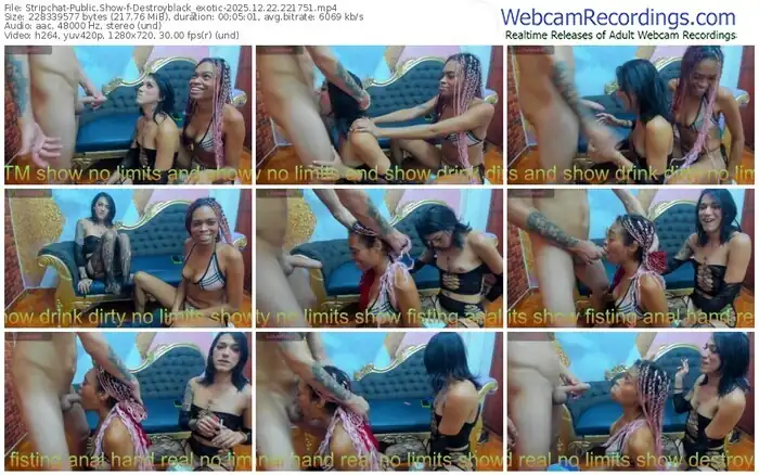 2025/12/22/stripchat-destroyblack_exotic-22-17-51