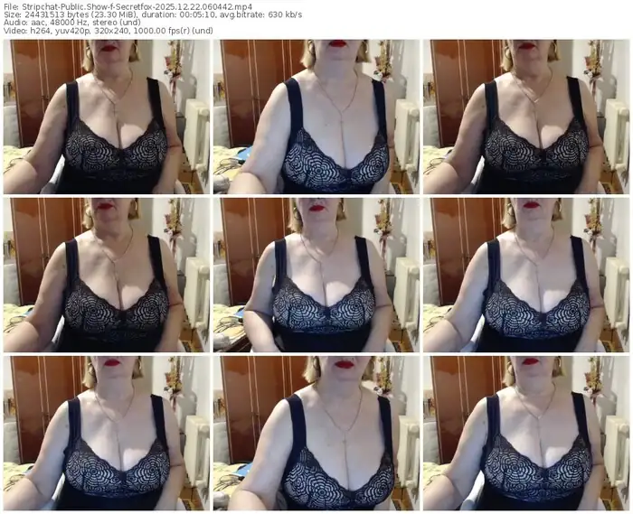 2025/12/22/stripchat-secretfox-06-04-42