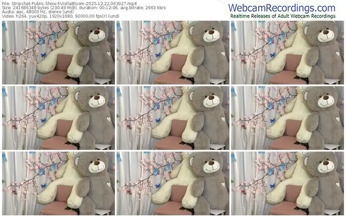 2025/12/22/stripchat-viollabloom-06-39-27