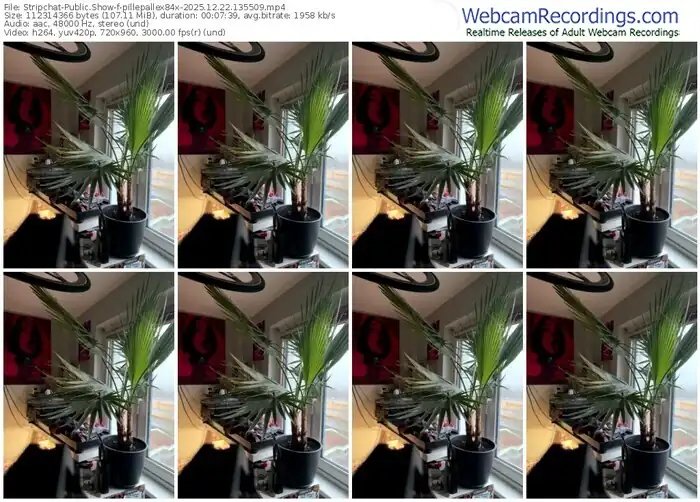 2025/12/22/stripchat-pillepallex84x-13-55-09