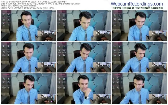 2025/12/22/stripchat-stevetiger-15-11-19