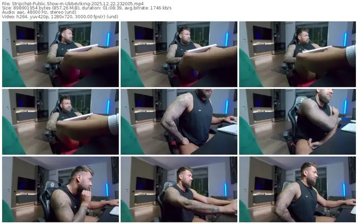 2025/12/22/stripchat-ubbeviking-23-20-05