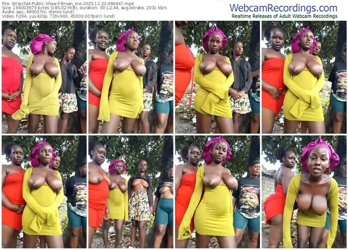 2025/12/23/stripchat-broan_me-08-04-47