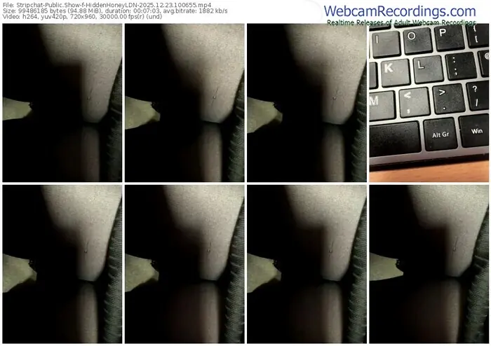 2025/12/23/stripchat-hiddenhoneyldn-10-06-55