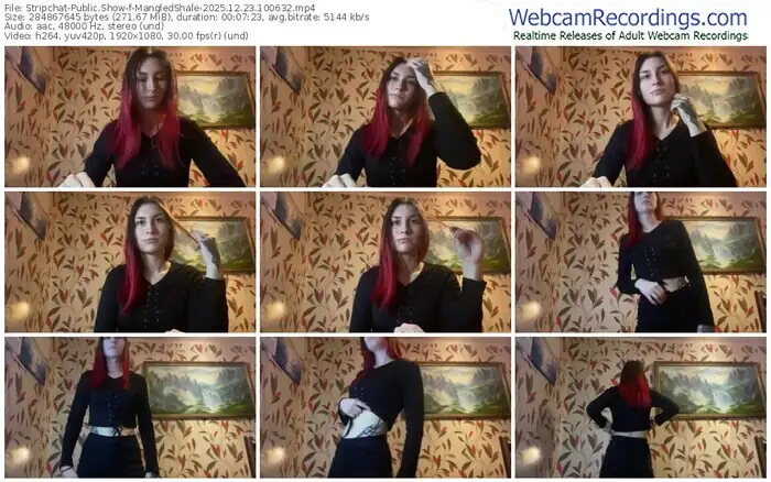 2025/12/23/stripchat-mangledshale-10-06-32