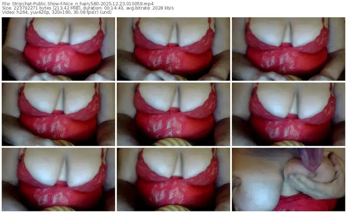 2025/12/23/stripchat-nice_n_hairy580-01-00-59