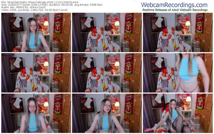 2025/12/23/stripchat-elliupp-10-00-20