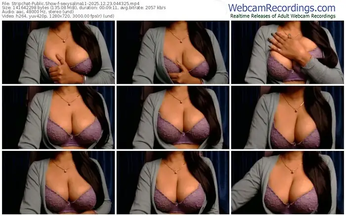 2025/12/23/stripchat-sexysalina11-04-43-25