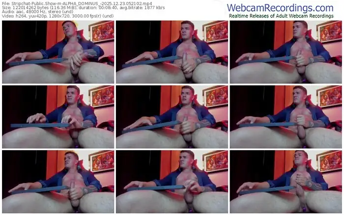 2025/12/23/stripchat-alpha_dominus_-05-21-02