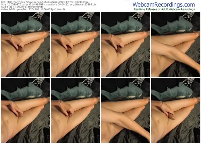 2025/12/23/stripchat-femboitea-official-10-07-36