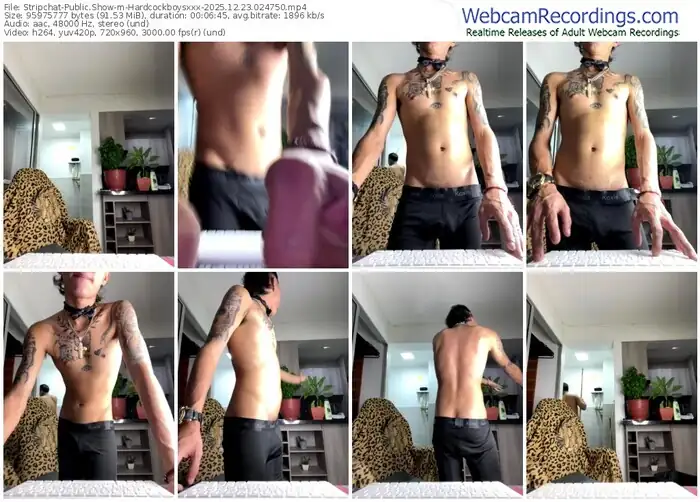 2025/12/23/stripchat-hardcockboysxxx-02-47-50
