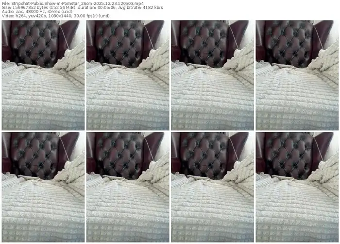 2025/12/23/stripchat-pornstar_26cm-12-05-03