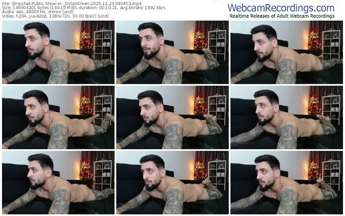 2025/12/23/stripchat-_dylangreen-09-04-53