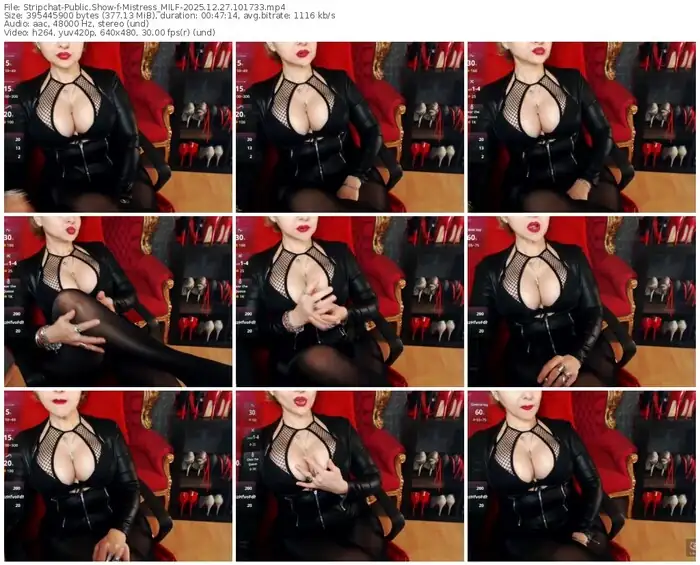2025/12/27/stripchat-mistress_milf-10-17-33