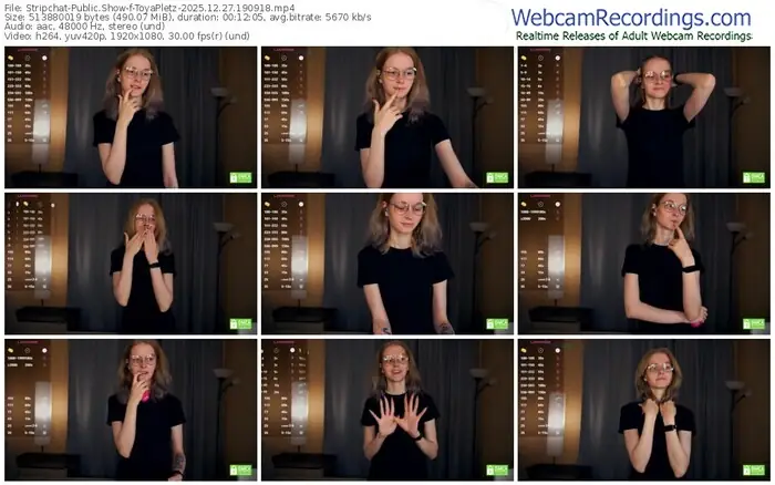 2025/12/27/stripchat-toyapletz-19-09-18