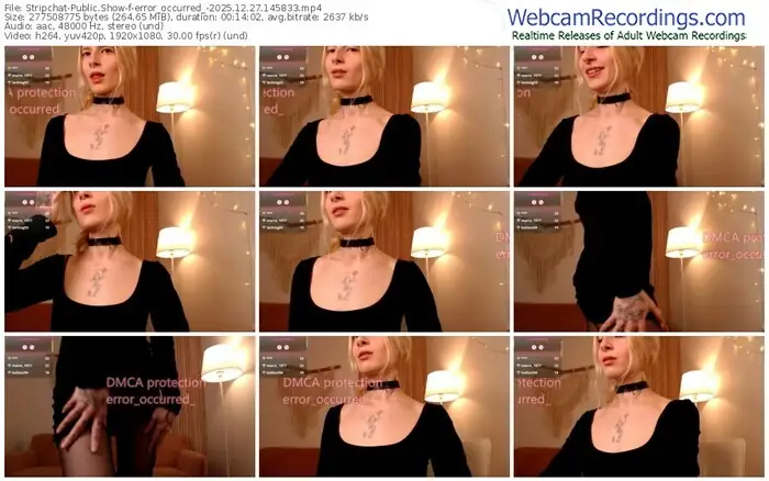 2025/12/27/stripchat-error_occurred_-14-58-33