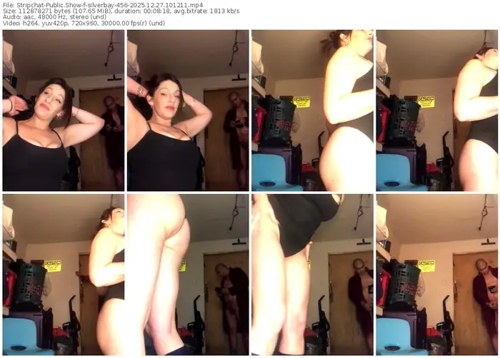 2025/12/27/stripchat-silverbay-456-10-12-11