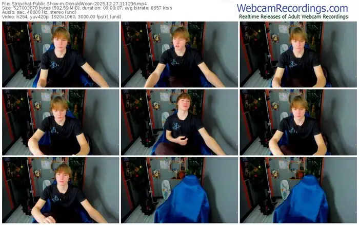 2025/12/27/stripchat-donaldwoon-11-12-36