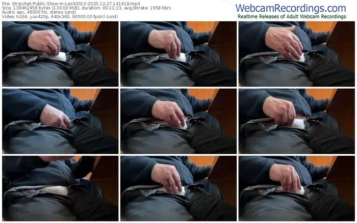 2025/12/27/stripchat-leo30010-14-14-18