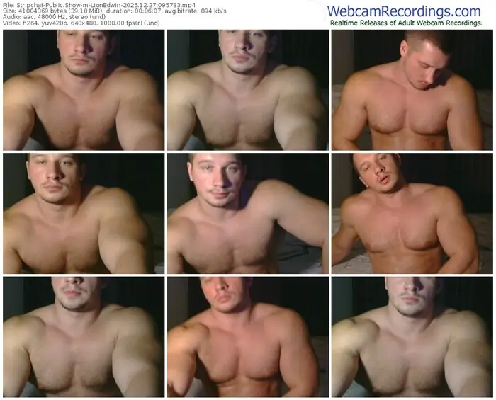 2025/12/27/stripchat-lionedwin-09-57-33