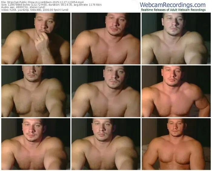 2025/12/27/stripchat-lionedwin-12-30-54