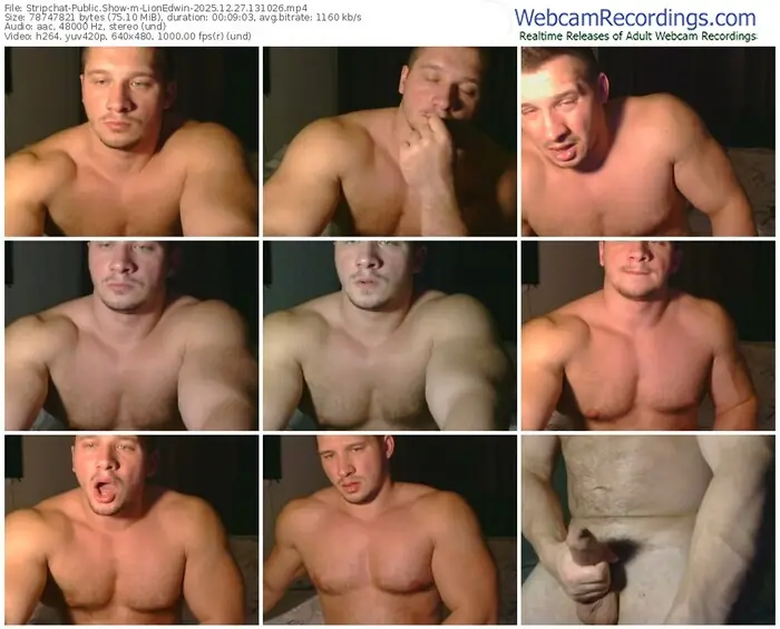 2025/12/27/stripchat-lionedwin-13-10-26