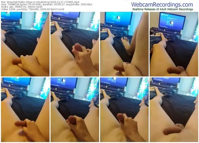 2025/12/27/stripchat-smokndog-17-06-45