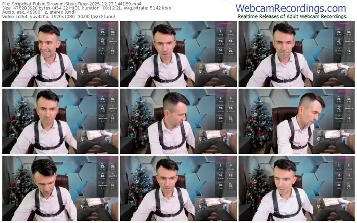 2025/12/27/stripchat-stevetiger-14-41-59