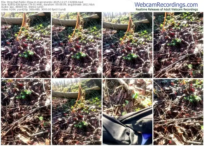 2025/12/27/stripchat-marconordic-13-28-38