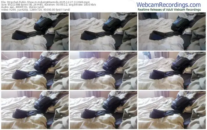 2025/12/27/stripchat-mdustg89wmids-11-20-49