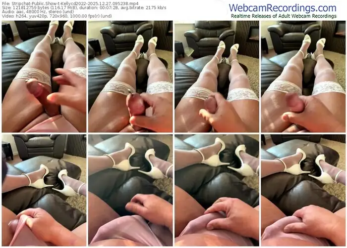 2025/12/27/stripchat-kellycd2022-09-52-38