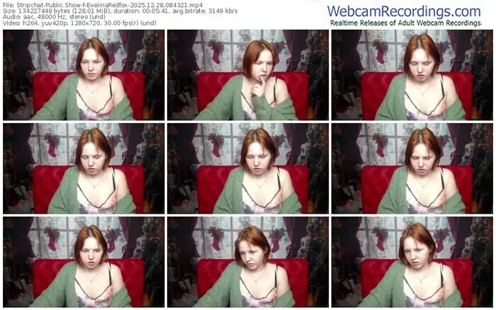 2025/12/28/stripchat-evelinaredfox-08-43-21
