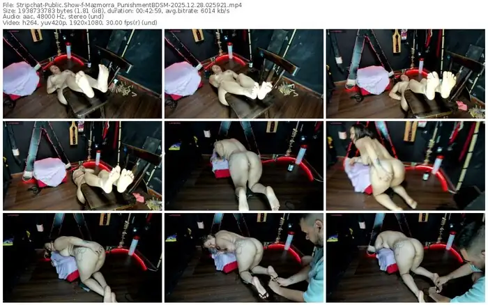 2025/12/28/stripchat-mazmorra_punishmentbdsm-02-59-21