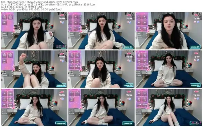 2025/12/28/stripchat-mileyrood-03-27-24