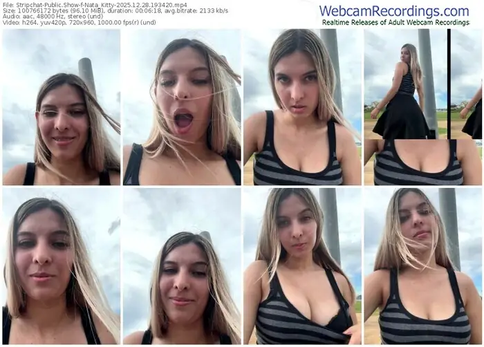 2025/12/28/stripchat-nata_kitty-19-34-20