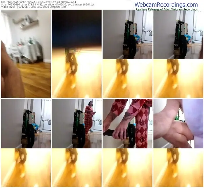 2025/12/28/stripchat-nick-ox-00-03-24
