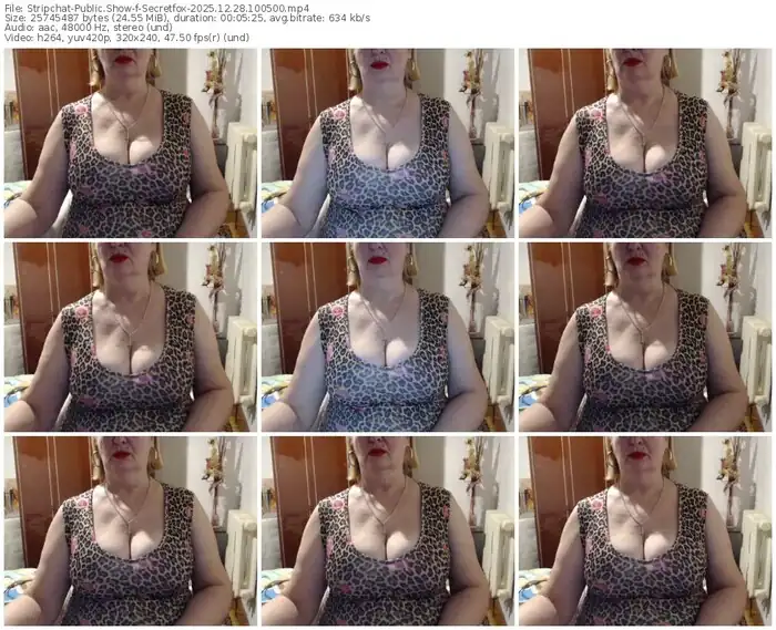 2025/12/28/stripchat-secretfox-10-05-00