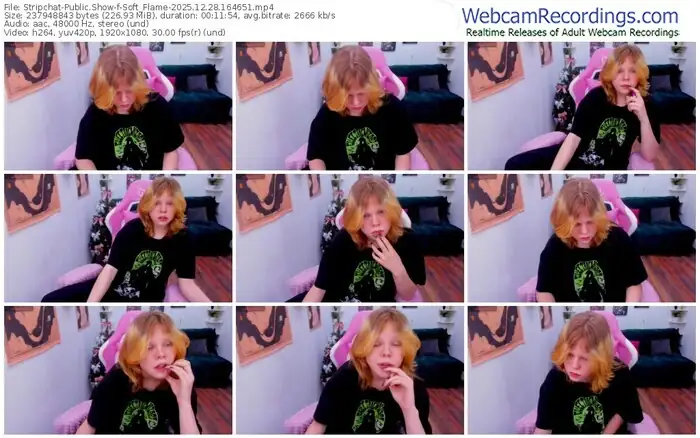 2025/12/28/stripchat-soft_flame-16-46-51