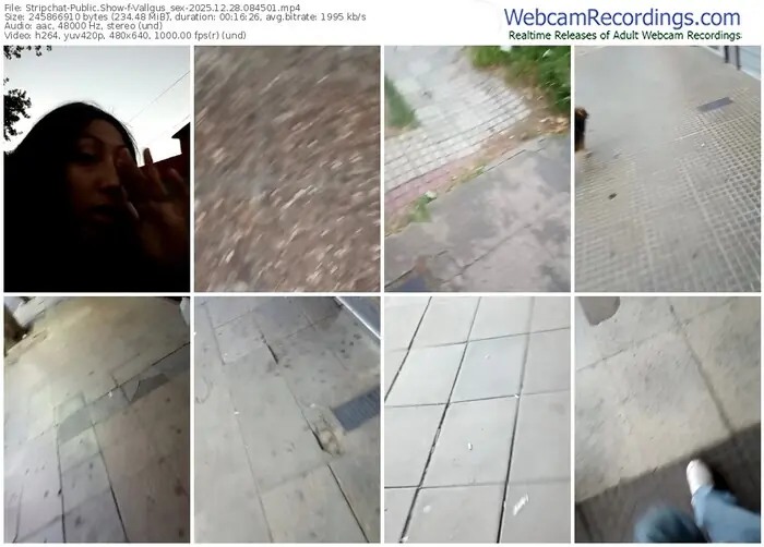 2025/12/28/stripchat-vallgus_sex-08-45-01