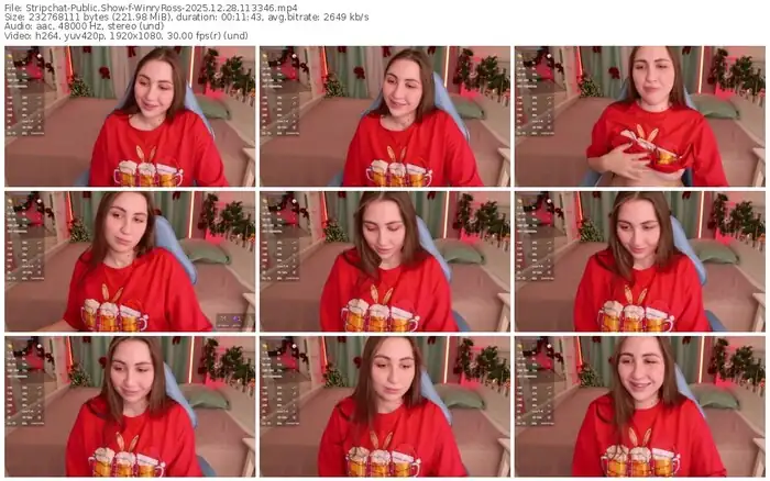 2025/12/28/stripchat-winryross-11-33-46