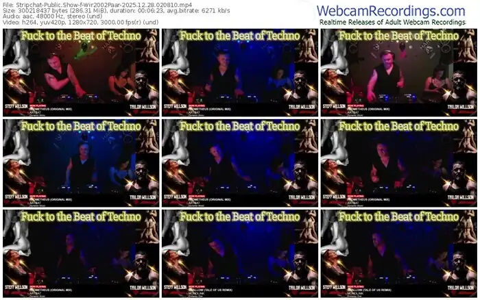 2025/12/28/stripchat-wir2002paar-02-08-10