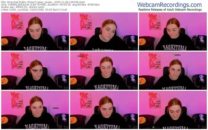 2025/12/28/stripchat-casey_meow_-10-00-36