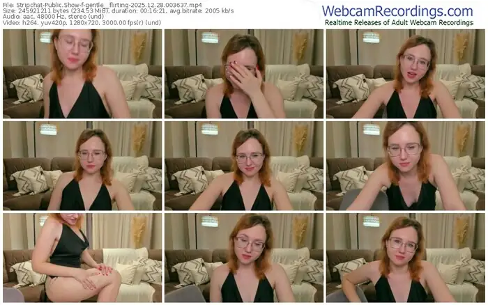 2025/12/28/stripchat-gentle__flirting-00-36-37