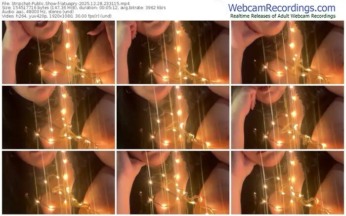 2025/12/28/stripchat-latuapry-23-31-15
