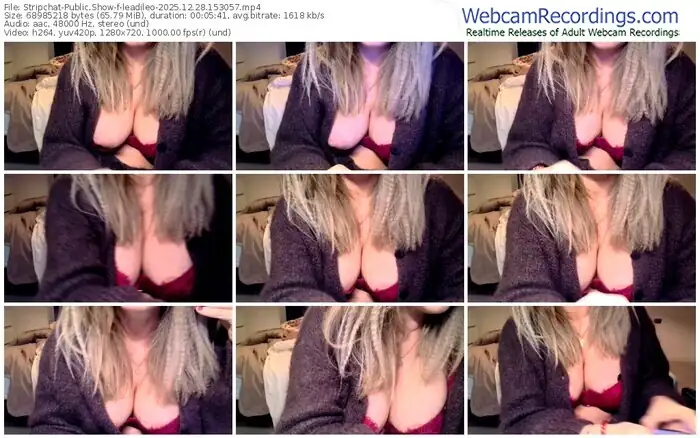 2025/12/28/stripchat-leadileo-15-30-57