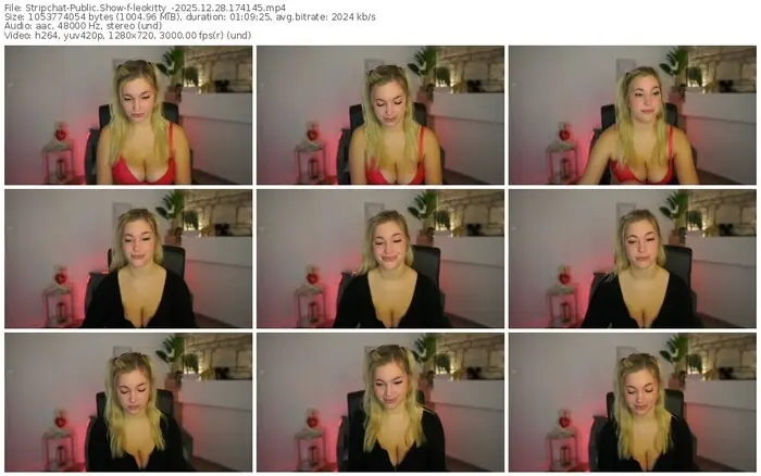 2025/12/28/stripchat-leokitty_-17-41-45